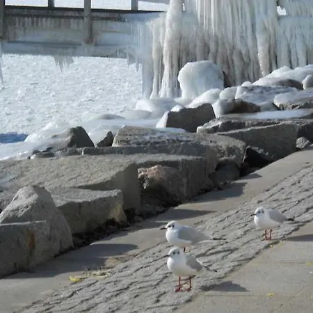 Monique In Alt-sassnitz Apartment *